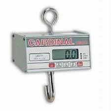 24 kg = 52.9109 lbs. Detecto Hsdc 20kg Digital Hanging Scale 20 X 0 01 Kg Coupons And Discounts May Be Available
