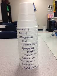 Levels Of Biological Organization From Smallest To Largest Pin On Science