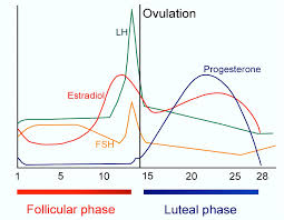 Also provides information on self care and treatment options, and how friends and family. Sepranolone And Pmdd Asarina Pharma