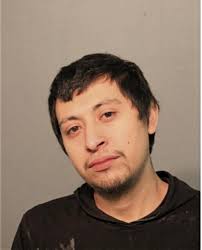 ᐅ Illinois Criminal Records 2009-2026