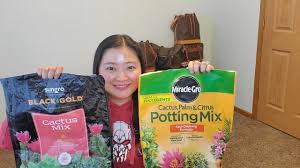 Cactus, palm + citrus potting mix. Schultz Potting Soil Review Youtube