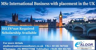 Msc International Business With Advanced Practice Placement Msc Placement Scholarships
