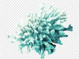 Coral decoration blue metal textures png. Blue Coral Illustration Coral Algae Sea Digital Image Seaweed Tree Png Pngwing