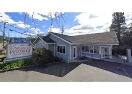 She is also a veterinarian for the san francisco zoo and is active in many. 3 Best Veterinary Clinics In Santa Rosa Ca Expert Recommendations