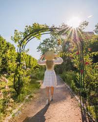 The Rose Garden Of Jardin Des Plantes In Paris En 2020 Plante Jardin Plante Roseraie