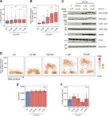 There are specific categories of books on the website that you can pick from, but only the free category guarantees that you're looking at free books. Autophagy Role S In Response To Oncogenes And Dna Replication Stress Cell Death Differentiation