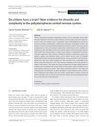 Pdf Do Chitons Have A Brain New Evidence For Diversity And Complexity In The Polyplacophoran Central Nervous System