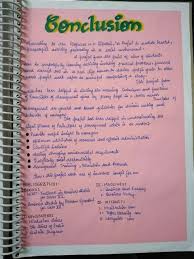 Business Studies Project Class 12 On Marketing Management On Noodles And Principles Of Management In 2020 Business Studies Marketing Management Project Study Project