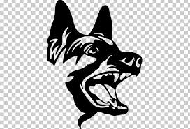 Kalender, uitslagen, wedstrijden, verslagen en livestream. German Shepherd Belgian Shepherd Australian Shepherd Puppy Png Clipart Animals Black Carnivoran Cat Like Mammal Dog
