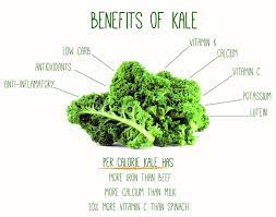 There is no direct name for kale in tamil. Mencari Sayur Kale Di Malaysia Supplementmama