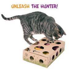 Amazon Com Cat Amazing Best Interactive Cat Toy Ever Cat Treat Maze Puzzle Box Game For Cats Pet Mice And Animal Toys Pet Sup Cats Cat Toys Pet Mice