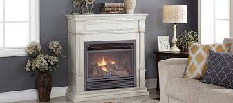 A napoleon direct vent fireplace is a good choice for new construction or for adding a fireplace to. Ventless Gas Fireplaces Fireplace Inserts Factory Buys Direct