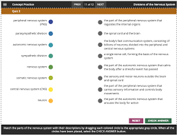 Solved Concept Practice Divisions Of The Nervous System Prev Chegg Com