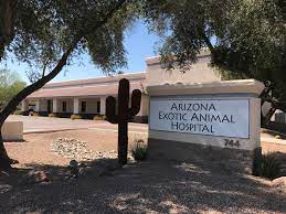 We're proud to have been serving the community since 1960 and look forward to many more years ensuring your pet gets the best veterinary care. Arizona Exotic Animal Hospital Home Facebook