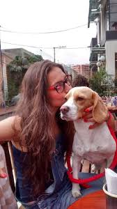 Near you 20+ dog boarding services near you. Budapest Doggy Daycare Prices Reviews Petbacker