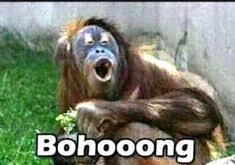  140 Ide Lucu Lucu Cartoon Jokes Sms Lucu