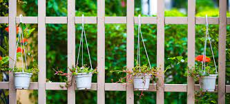 We did not find results for: Maximum Height Allowed For A Garden Fence With Trellis