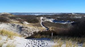 We did not find results for: The Dunes At Castle Neck Historic Ipswich