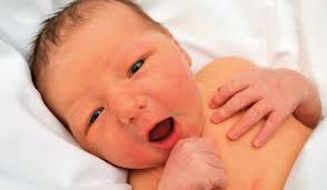 MCHS Bronco Express Newsletter July 2023 by MontiniCatholic