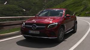 Image result for Hyacinth Red 2016 GL