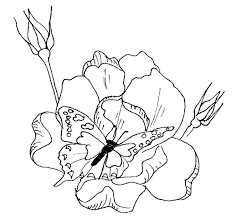 Each printable highlights a word that starts. Free Butterfly Coloring Pages Butterfly On Roses
