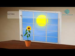 Living Things Respond To Stimulus Science Animation Youtube