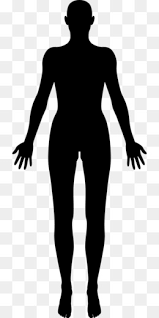 Body wash body art body painting woman body silhouette human body body man body jewellery. Female Body Shape Png Free Download Child Cartoon