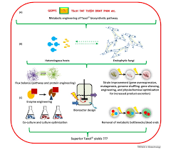 Taking advantage of this characteristic, we studied the production of the anticancer drug paclitaxel, which is currently produced in limited supp … Rethinking Production Of Taxol Paclitaxel Using Endophyte Biotechnology Trends In Biotechnology