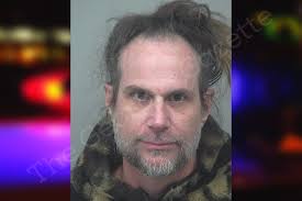 Blaise Brown — Gwinnett County Jail Bookings