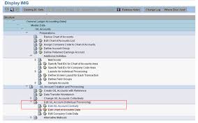 Fs00 Upgrade Issue Missing G L Account Text Fields In Chart