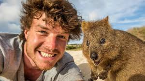 Allan Dixon, el fotógrafo que recorre el mundo tomándose asombrosas selfies  con animales