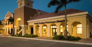 Call and transport your pet to the veterinary hospital. North Naples Veterinary Hospital Home Facebook