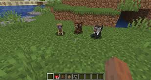 Then, subscribe to me so that you can see the instructions. Wizard S Animals Mods Minecraft Curseforge