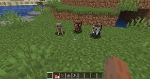 (those got made with jsdoc and i have no clue how to make them look better.) about. Wizard S Animals Mods Minecraft Curseforge