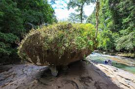 Hasil gambar untuk gua pattunuang