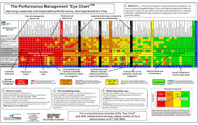 Right People Right Roles Performance Management Eye Chart
