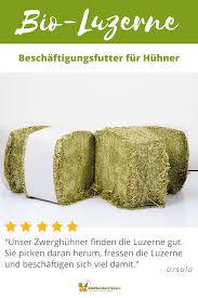 Bio Luzerne Ballen Beschaftigungsfutter Fur Huhner Und Andere Tiere 20 Kg In 2020 Huhner Futter Huhner Zwerghuhner