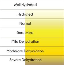 competent dehydration chart 2019