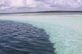Place Where Two Oceans Meets But Doesn T Mix Two Oceans Meet Ocean Sea And Ocean