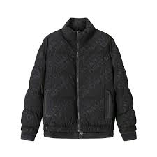 DAVID NAMAN Down Jacket Down