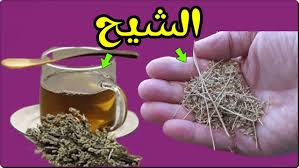 فوائد شرب منقوع عشبة الشيح على الريق Health And Fitness Expo Body Skin Care Engagement