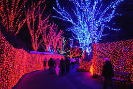 Pin By Carol Edgar On Christmas Zoo Lights Oregon Places To Visit