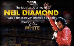 Neil Diamond Tribute Show
