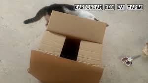Kartondan Basit Kedi Evi Yapimi Youtube