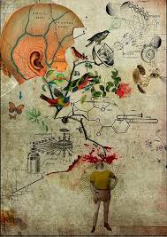 Portifolio Art Interesting Art Illustration Art