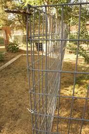 Cheap Easy Dog Run To Build Diy Dog Fence Diy Dog Run Diy Dog Kennel
