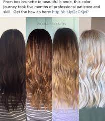 Pin By Adrian Pendergrass On Hair Inspiration Brunette To Blonde Blonde Hair Color Blonde Hair Transformations