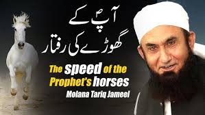 The speed of the Prophet's horse