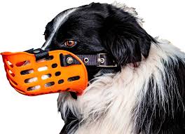 The honest kitchen offers another makeshift solution for a temporary muzzle. Agboss Working Dog Muzzle Plastic Agboss