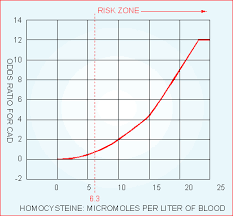 comprehensive guide to preventive blood testing page 3